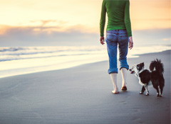 Passport to Health: Ten Steps to Achieving Optimal Health Workshop