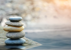 Mindfulness Webinar Series: The Gift of Mindfulness