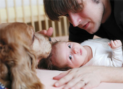 Dogs & Storks Class: Preparing Families With Dogs for Life With Baby